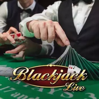 Live Blackjack logo by Pragmatic Live at Wildroyal CasinoLive Blackjack